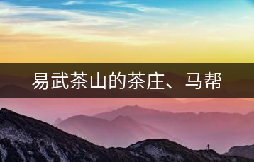 易武茶山的茶莊、馬幫