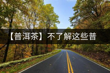 【普洱茶】不了解這些普洱茶概念，你還敢說(shuō)你很懂易武茶