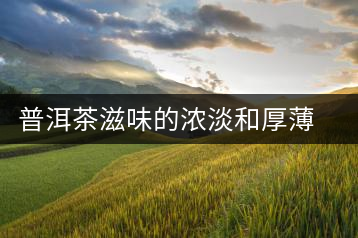 普洱茶滋味的濃淡和厚薄是指什么