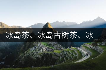 冰島茶、冰島古樹茶、冰島茶區(qū)茶、冰島茶區(qū)古樹茶