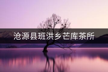 滄源縣班洪鄉(xiāng)芒庫(kù)茶所