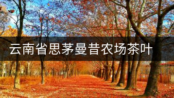 云南省思茅曼昔農場茶葉加工廠