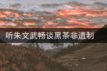 聽朱文武暢談黑茶非遺制茶技藝的市場(chǎng)的開拓之路