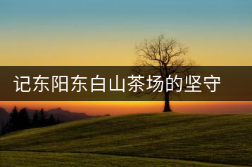 記東陽(yáng)東白山茶場(chǎng)的堅(jiān)守者金永平