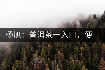 楊旭：普洱茶一入口，便知產(chǎn)地和年份