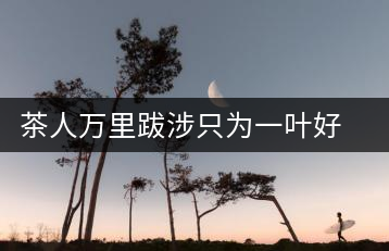 茶人萬(wàn)里跋涉只為一葉好茶