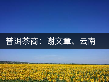 普洱茶商：謝文章、云南谷申商貿(mào)有限公司總經(jīng)理