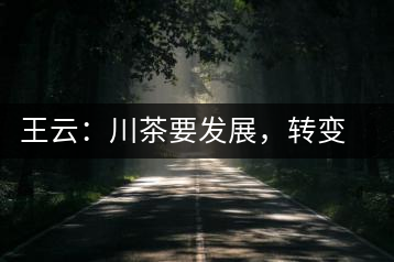 王云：川茶要發(fā)展，轉(zhuǎn)變思想是關(guān)鍵