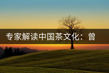 專(zhuān)家解讀中國(guó)茶文化：曾征服征服沙皇