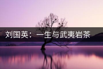 劉國(guó)英:一生與武夷巖茶結(jié)緣