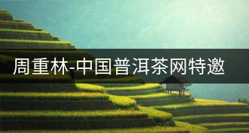 周重林-中國普洱茶網特邀行業(yè)專家顧問