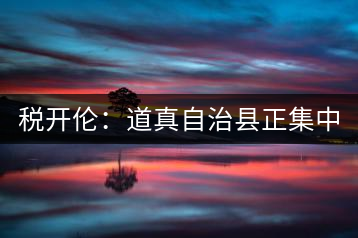 稅開倫:道真自治縣正集中力量打造“中國(guó)硒鍶茶鄉(xiāng)”