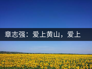 章志強(qiáng):愛上黃山,愛上黃山的茶