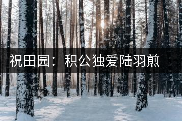 祝田園:積公獨(dú)愛陸羽煎的茶