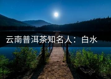 云南普洱茶知名人:白水清
