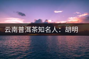 云南普洱茶知名人：胡明方