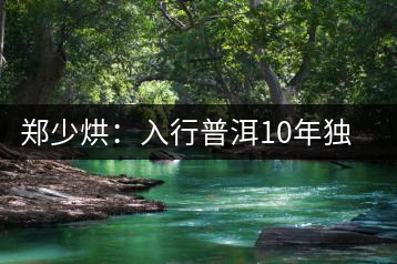 鄭少烘：入行普洱10年獨鐘“易武山頭”