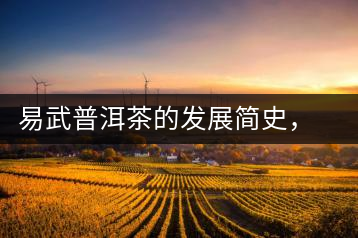 易武普洱茶的發(fā)展簡史，昔日的貢茶如今依然輝煌