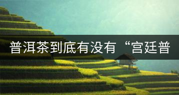 普洱茶到底有沒(méi)有“宮廷普洱”一說(shuō)？它到底是什么？