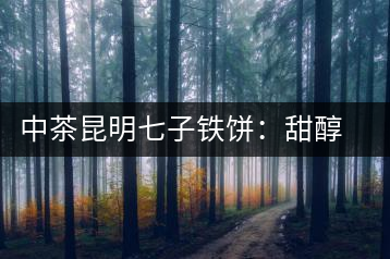 中茶昆明七子鐵餅：甜醇甘潤，陳韻綿長