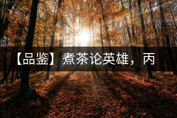 【品鑒】煮茶論英雄，丙申年易武麻黑