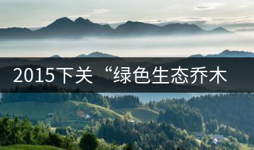 2015下關(guān)“綠色生態(tài)喬木老樹茶”開湯