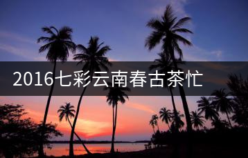 2016七彩云南春古茶忙肺開湯——剛?cè)岵闹t謙君子