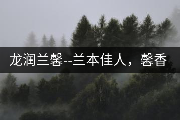 龍潤(rùn)蘭馨–蘭本佳人，馨香高雅