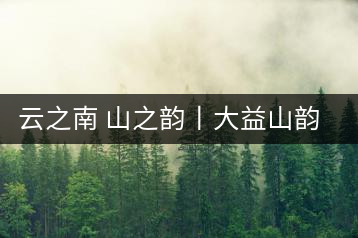 云之南 山之韻丨大益山韻,“韻”味傳奇之山韻歸來