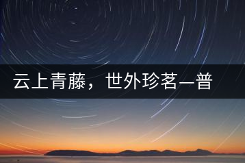 云上青藤，世外珍茗—普秀百年藤條茶即將上市