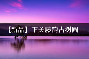 【新品】下關(guān)藤韻古樹圓茶——“千手觀音”臨世之風(fēng)骨
