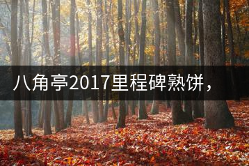 八角亭2017里程碑熟餅，自先發(fā)酵而后愛人