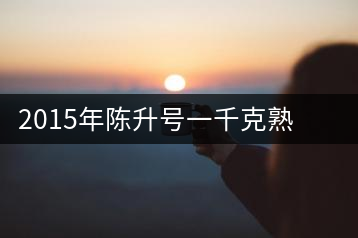 2015年陳升號一千克熟茶磚經(jīng)典大樹新品上市