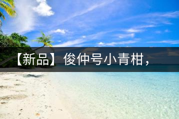 【新品】俊仲號小青柑，青果來傾城