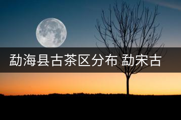 勐?？h古茶區(qū)分布 勐宋古茶山