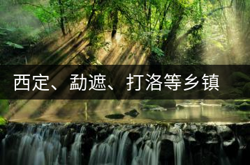 西定、勐遮、打洛等鄉(xiāng)鎮(zhèn)古茶樹資源