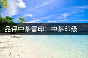 品評(píng)中茶雪?。褐胁栌〖?jí)茶的經(jīng)典傳承
