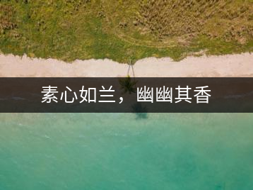 素心如蘭，幽幽其香