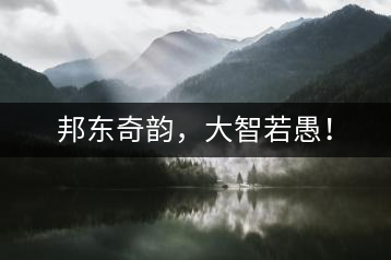 邦東奇韻，大智若愚！