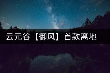 云元谷【御風(fēng)】首款離地渥堆發(fā)酵熟茶開(kāi)湯品飲