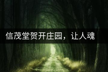 信茂堂賀開莊園，讓人魂牽夢繞的名山古樹茶