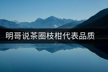 明哥說茶圈枝柑代表品質(zhì)高點，是玩家級的產(chǎn)品