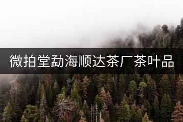 微拍堂勐海順達茶廠茶葉品質如何？