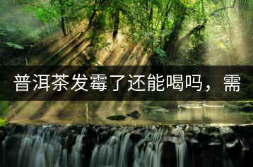 普洱茶發(fā)霉了還能喝嗎，需要怎么處理？