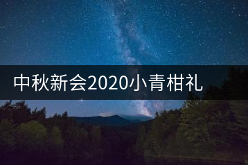 中秋新會2020小青柑禮盒裝青桔普洱茶迷你小沱茶散裝桔陳皮茶葉