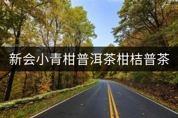 新會小青柑普洱茶柑桔普茶正宗新會生曬陳皮云南8年宮廷熟普包裝