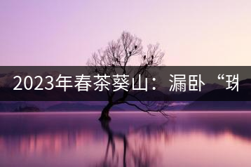 2023年春茶葵山：漏臥“珠江紅：1200元-3200元（有3個檔次）漏臥“大廠茶”：古樹單株8600-9000元／公斤，中樹4800-5200元／公斤，小樹混采2600-2800元／公斤。