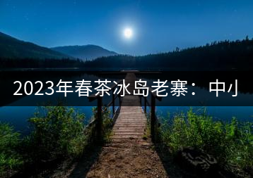 2023年春茶冰島老寨：中小樹混采2500-3000元／公斤，大樹：7000-8000元／公斤，古樹混采：28000-36000元／公斤