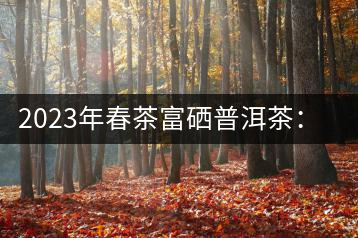 2023年春茶富硒普洱茶：1.富硒有機(jī)手工生普，市場指導(dǎo)價(jià)800元／公斤；2.富硒有機(jī)一級(jí)紅茶，市場指導(dǎo)價(jià)800元／公斤；3.富硒有機(jī)熟普餅，市場指導(dǎo)價(jià)1000元／公斤；4.富硒有機(jī)月光白茶，市場指導(dǎo)價(jià)800元／公斤。