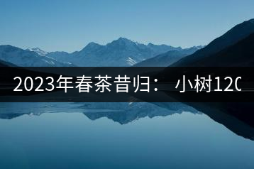 2023年春茶昔歸： 小樹1200-1600元／公斤，大樹4500-5200元／公斤，古樹7500-9000元／公斤.